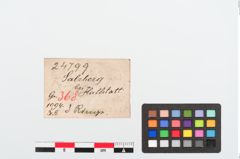 Etiketten zu Bronzering (NHMW-PRAE-024799)